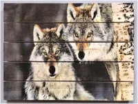 Картина "Волк и волчица" 30*40 см на дереве Ж010, ПЭМ картина "волк и волчица" 30*40 см на дереве ж010, пэм