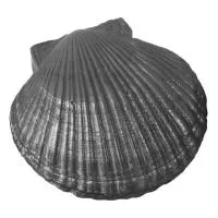 Камень для бани Чугунный "Ракушка большая" КЧР-2, Рубцовск камень для бани чугунный "ракушка большая" кчр-2, рубцовск