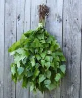 Веник березовый, в упаковке, Огненный камень веник березовый, в упаковке, огненный камень