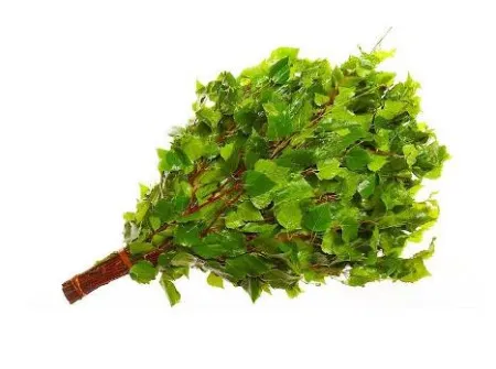 Веник дуб, Woodson веник дуб, woodson