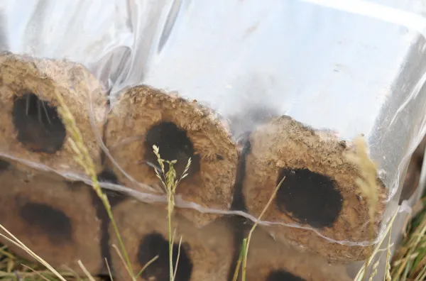 Брикеты топливные из пресс. опилок, Pini&Kay (10кг) брикеты топливные из пресс. опилок, pini&kay (10кг)